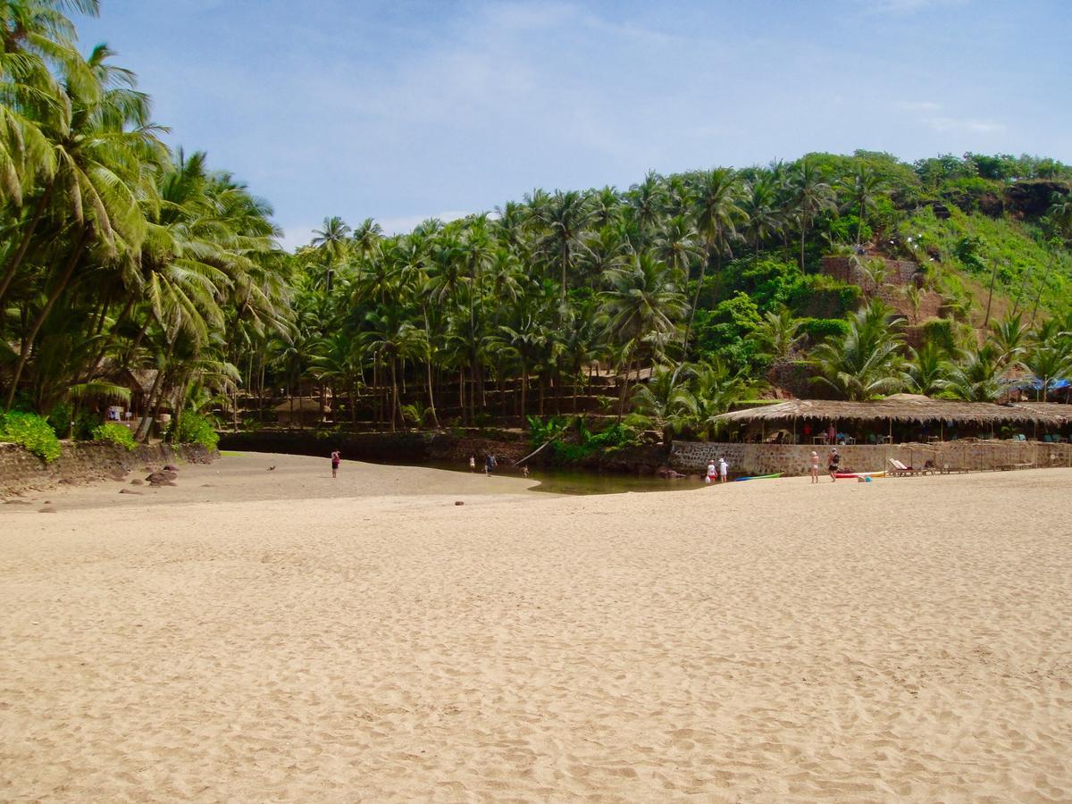 Blue Lagoon Goa Resort 2*