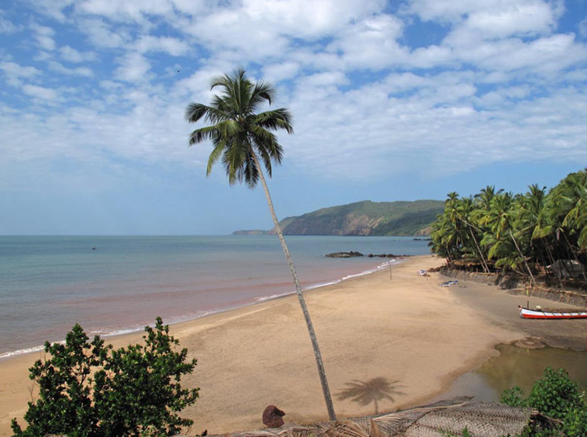 Blue Lagoon Goa Cola