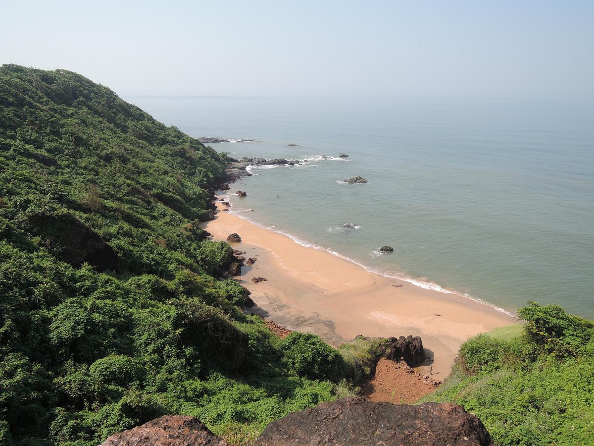 Resort Blue Lagoon Goa 2*