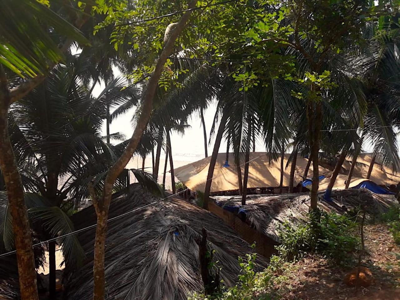 Blue Lagoon Goa Resort Cola